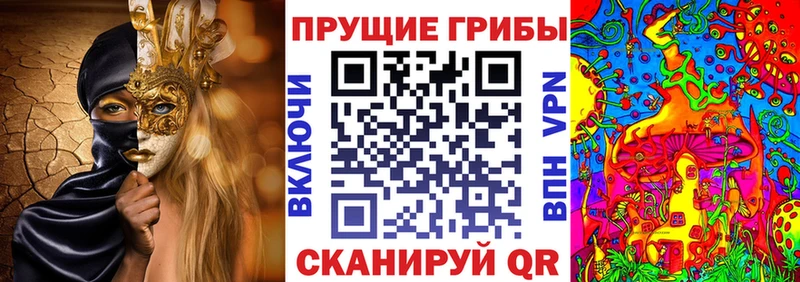shop состав  Наро-Фоминск  Псилоцибиновые грибы Psilocybe 